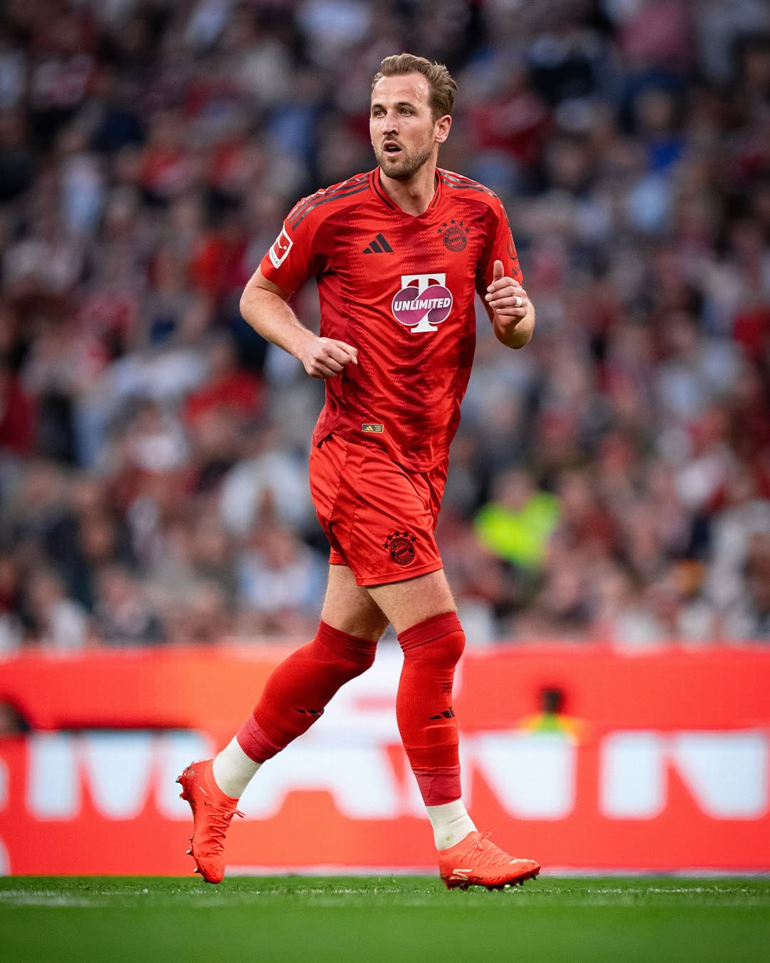 Professional Soccer Player Harry Kane Contact and Biography